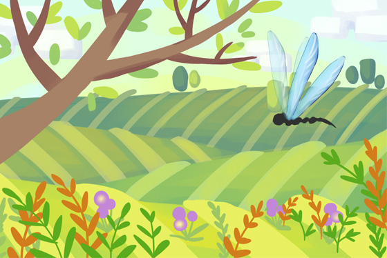 dragonfly flying on a green field