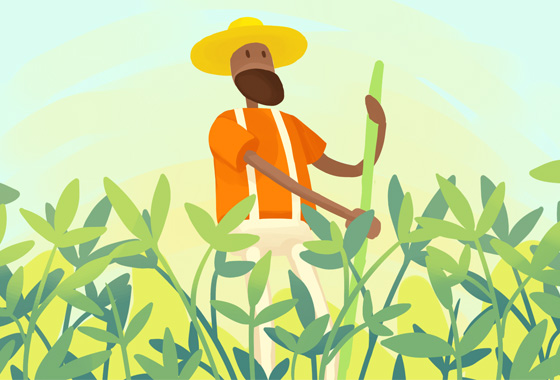 agronomist in a straw hat with a rake working on the field