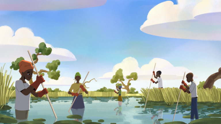 WWF - Lukanga Swamps - Animated video 2