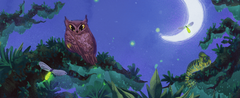 Slapen is voor Apen 4 | Book Illustration